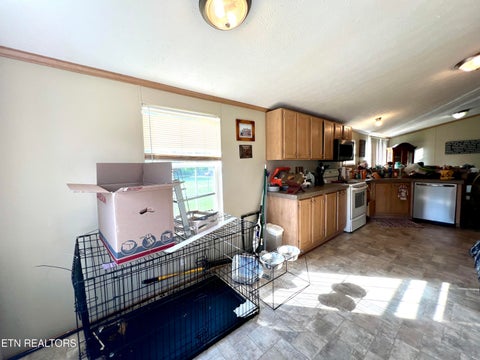 Tiny photo for 1228 Evans Valley Rd, Newport, TN 37821 (MLS # 1347279)