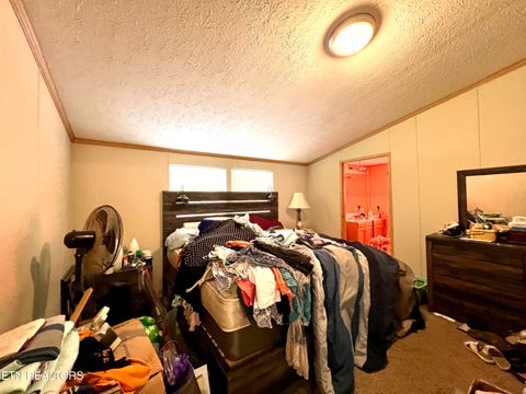 Tiny photo for 1228 Evans Valley Rd, Newport, TN 37821 (MLS # 1347279)