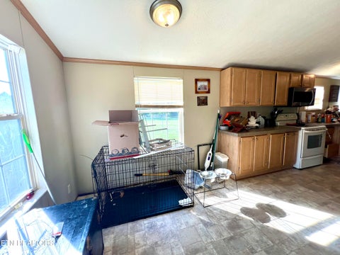 Tiny photo for 1228 Evans Valley Rd, Newport, TN 37821 (MLS # 1347279)