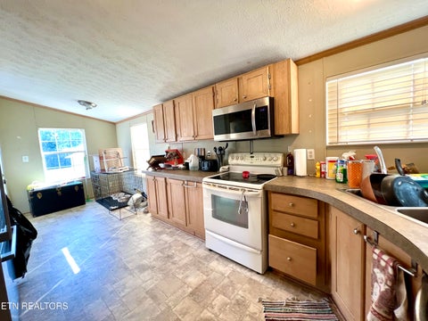 Tiny photo for 1228 Evans Valley Rd, Newport, TN 37821 (MLS # 1347279)