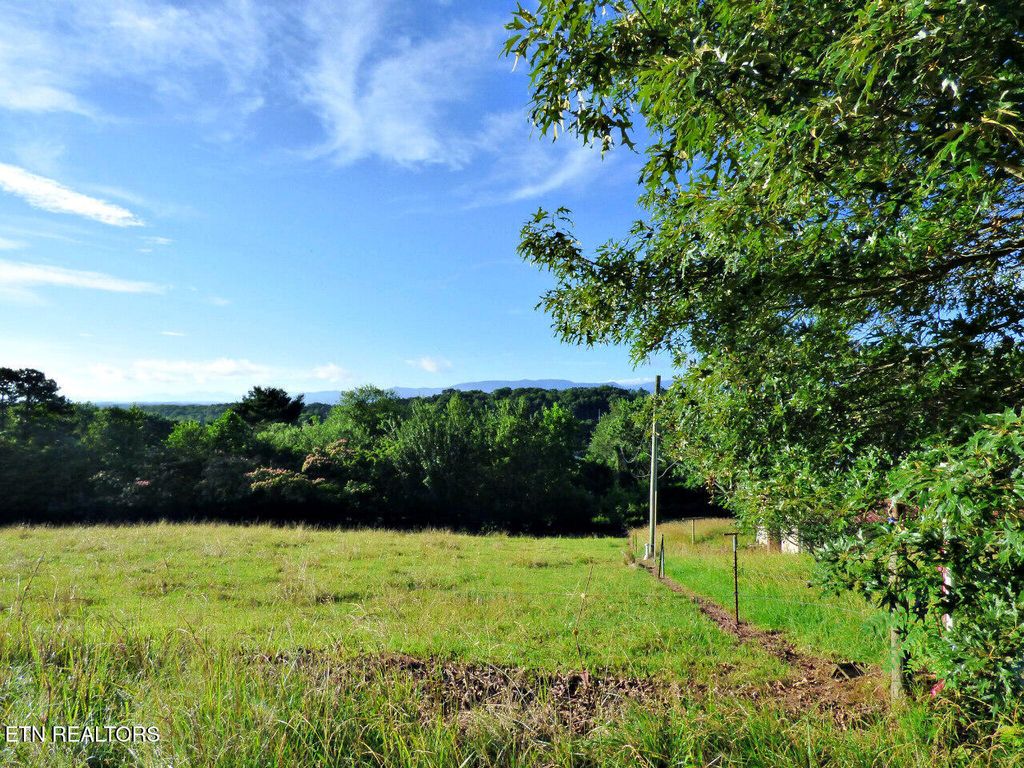 Photo of 13 Sunnydale Circle, Dandridge, TN 37725 (MLS # 1305179)