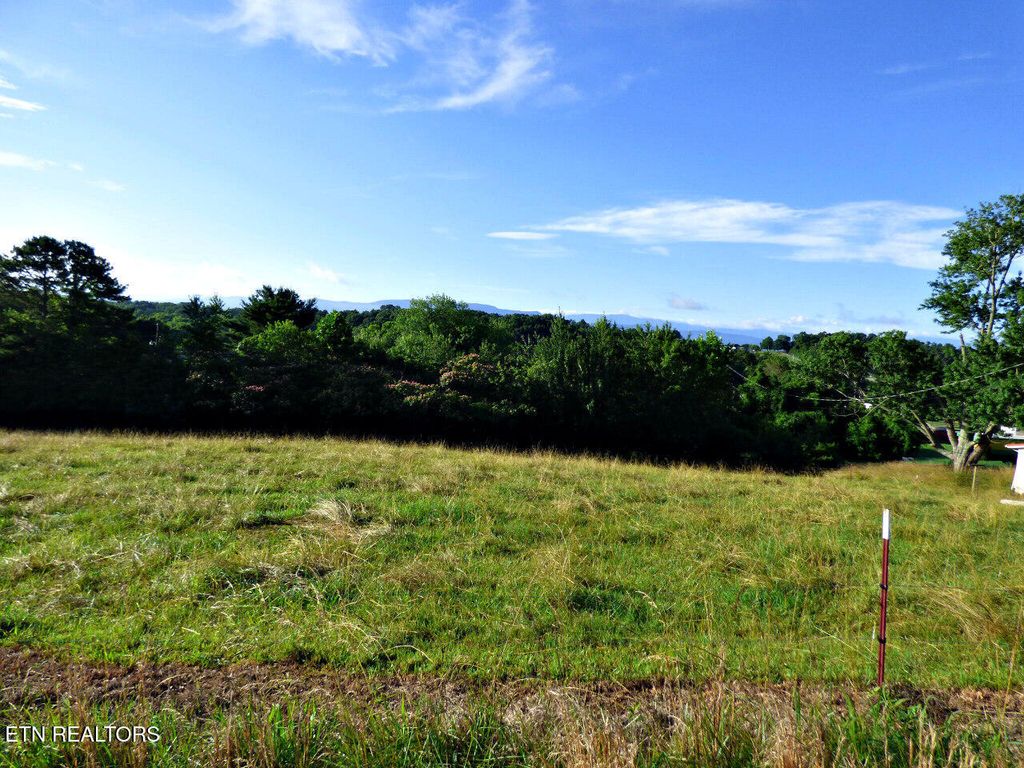 Photo of 13 Sunnydale Circle, Dandridge, TN 37725 (MLS # 1305179)