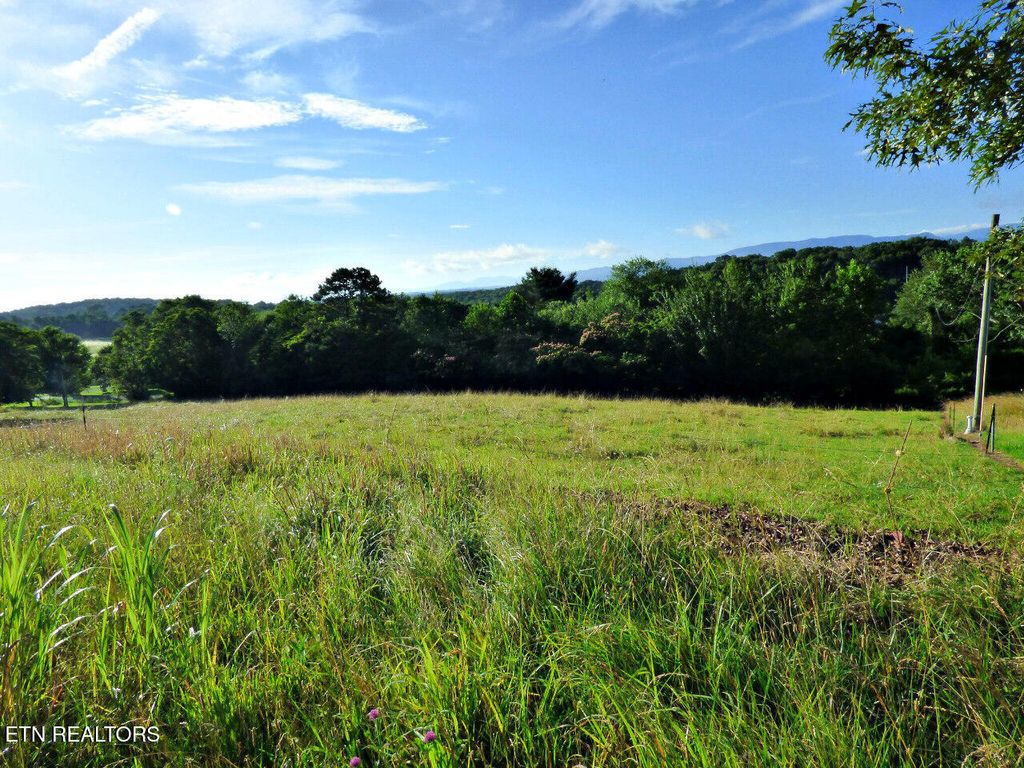 Photo of 13 Sunnydale Circle, Dandridge, TN 37725 (MLS # 1305179)