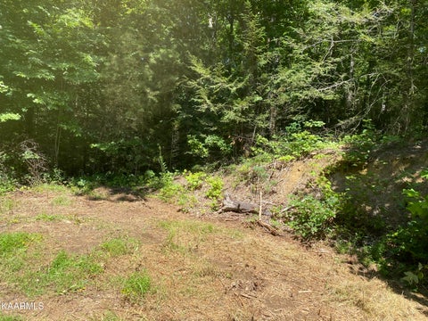 Featured picture for the property 1205664