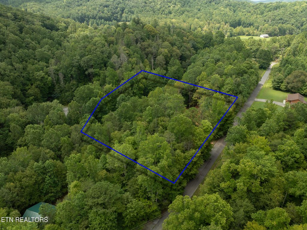 Photo of 56 Ardell Way, Cosby, TN 37722 (MLS # 1330009)