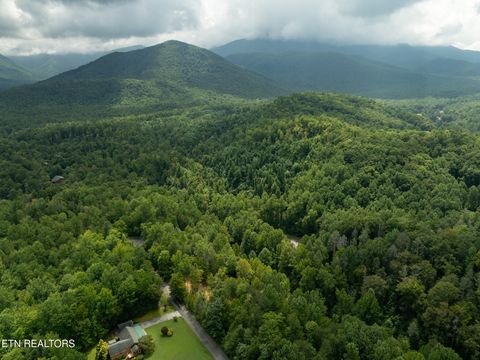 Tiny photo for 56 Ardell Way, Cosby, TN 37722 (MLS # 1330009)