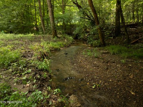 Tiny photo for 56 Ardell Way, Cosby, TN 37722 (MLS # 1330009)