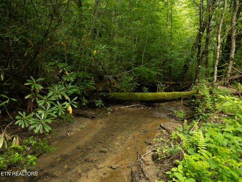 Tiny photo for 56 Ardell Way, Cosby, TN 37722 (MLS # 1330009)