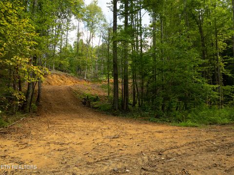 Tiny photo for 56 Ardell Way, Cosby, TN 37722 (MLS # 1330009)