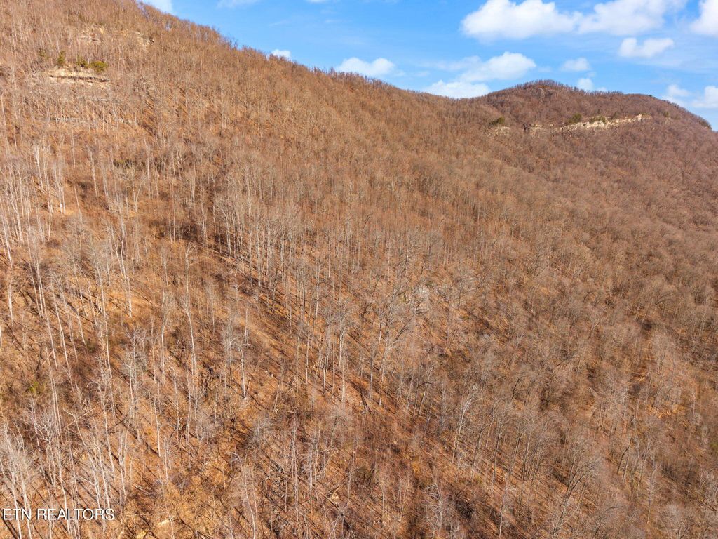 Photo of Greene Lane E Of, LaFollette, TN 37766 (MLS # 1324819)