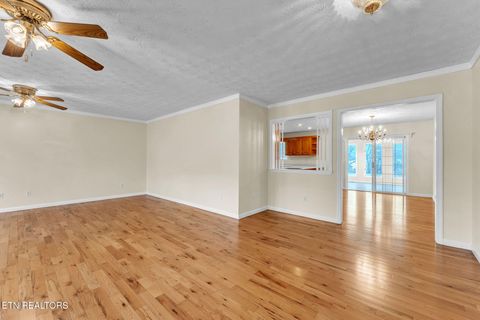 Tiny photo for 305 Medlin Pike, Evensville, TN 37332 (MLS # 1331091)