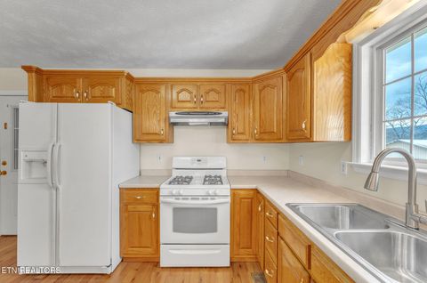 Tiny photo for 305 Medlin Pike, Evensville, TN 37332 (MLS # 1331091)