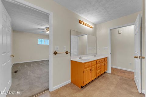 Tiny photo for 305 Medlin Pike, Evensville, TN 37332 (MLS # 1331091)