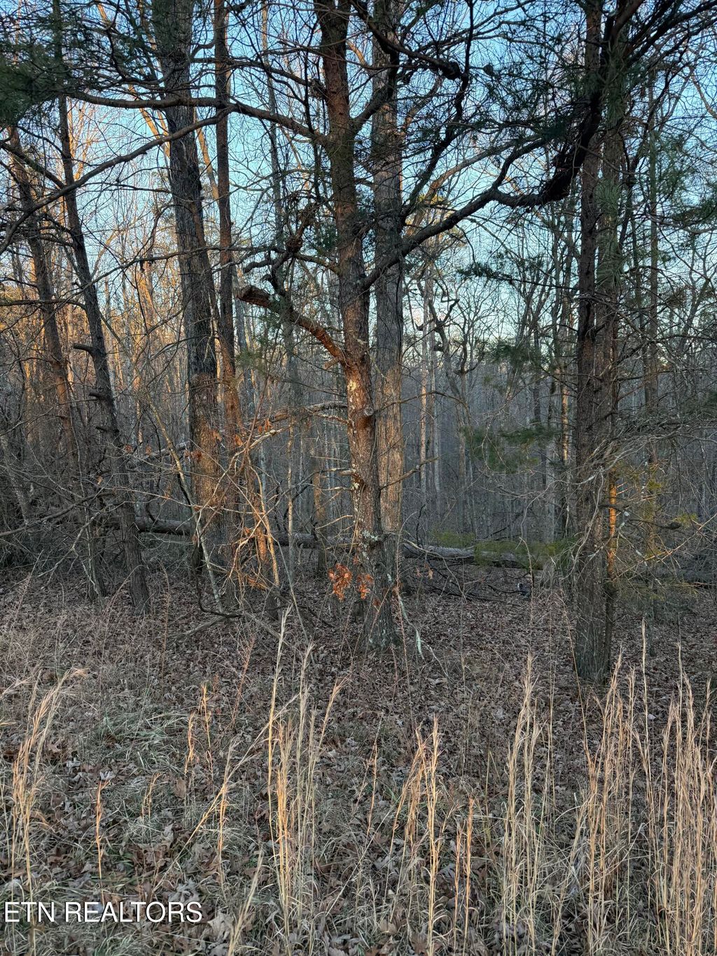 Photo of 5 W Laurel Way, Monterey, TN 38574 (MLS # 1324317)