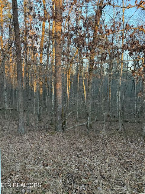 Photo of 5 W Laurel Way, Monterey, TN 38574 (MLS # 1324317)