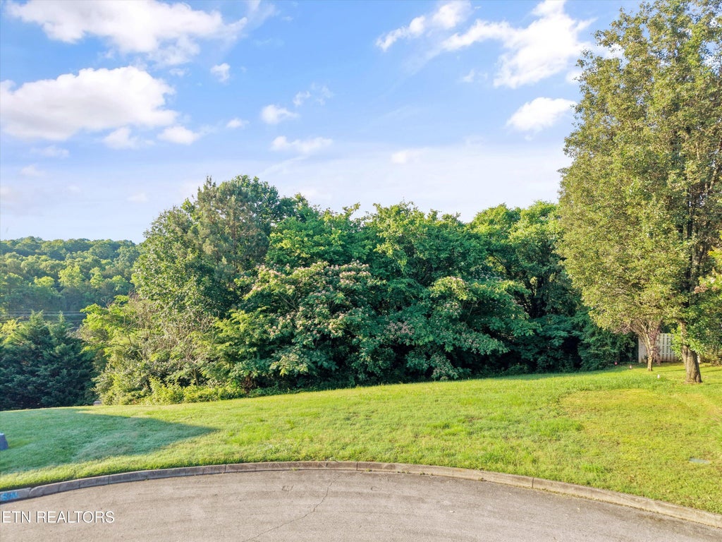Photo of 1915 Dobson Park Lane, Knoxville, TN 37922 (MLS # 1343344)