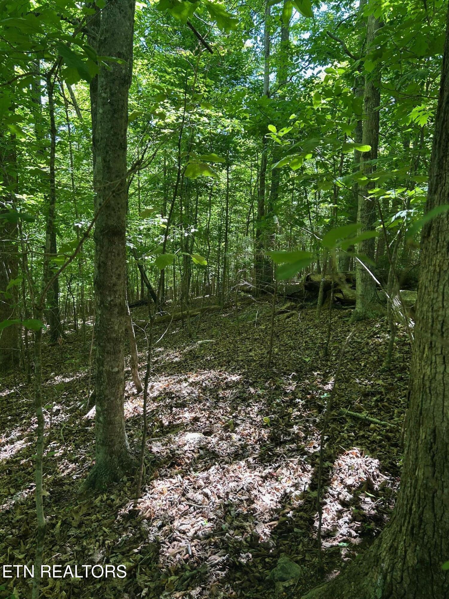 lot 63 Stoney Rock Lane