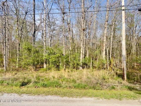 Photo of 159 Broken Arrow Drive, Crossville, TN 38572 (MLS # 1336417)
