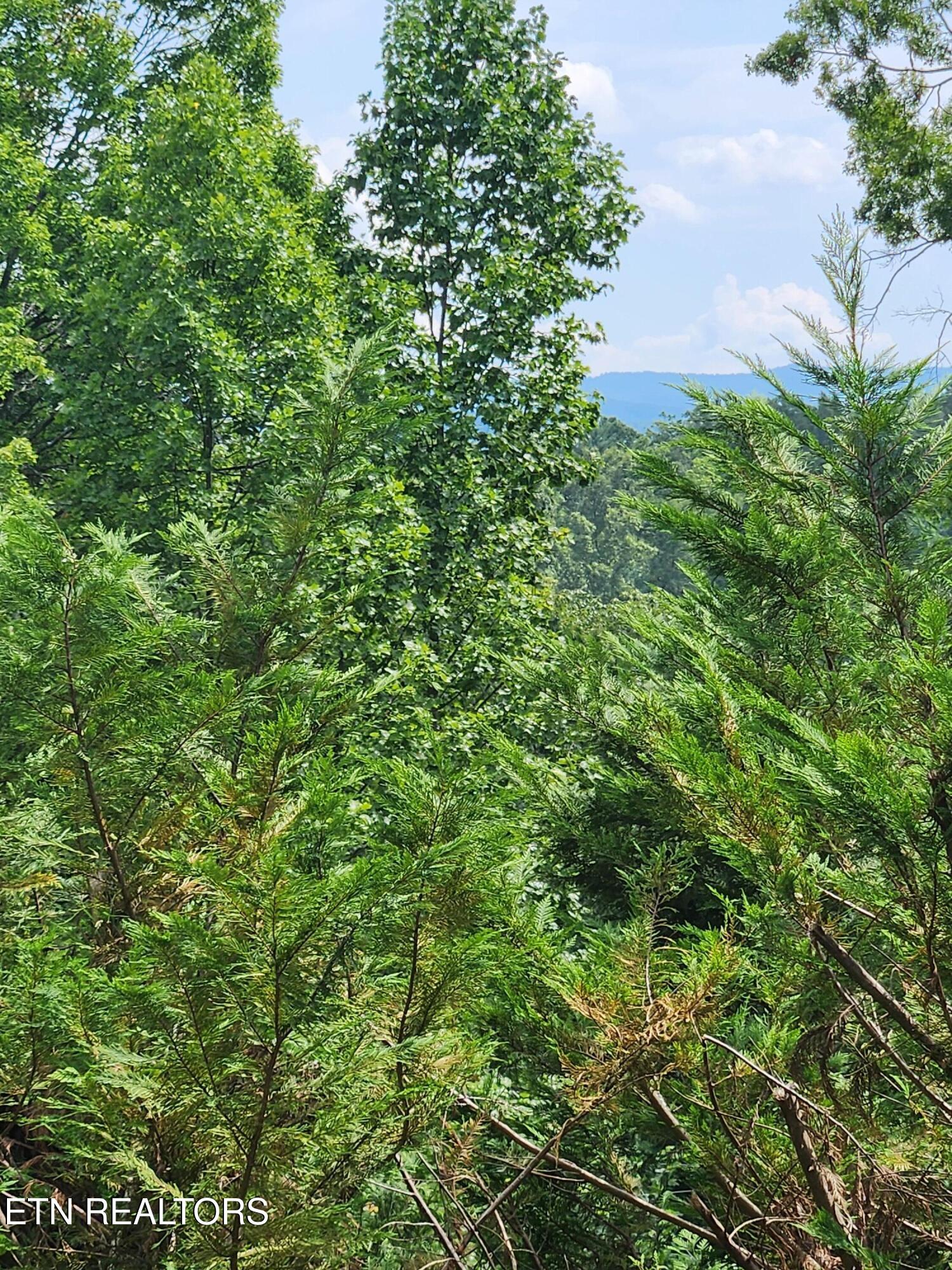 1695 Cane Creek Mountain Rd