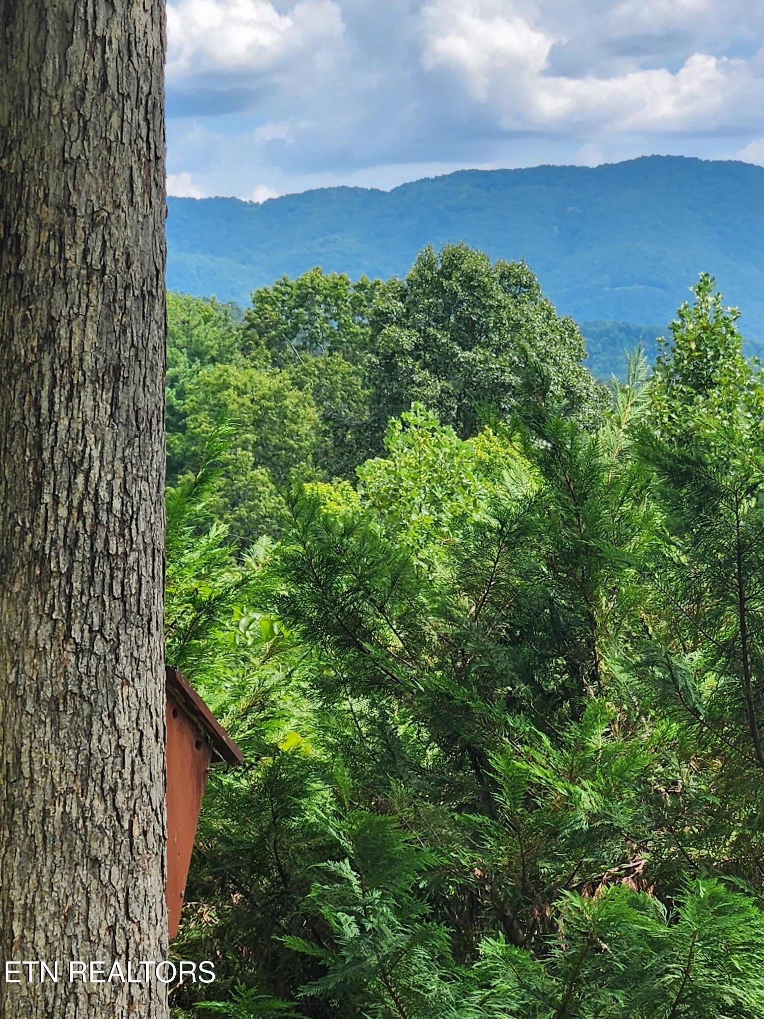 1695 Cane Creek Mountain Rd
