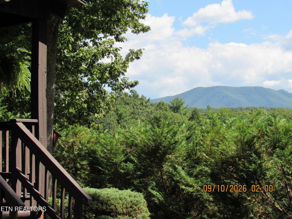 Photo of 1695 Cane Creek Mountain Rd, Tellico Plains, TN 37385 (MLS # 1353312)