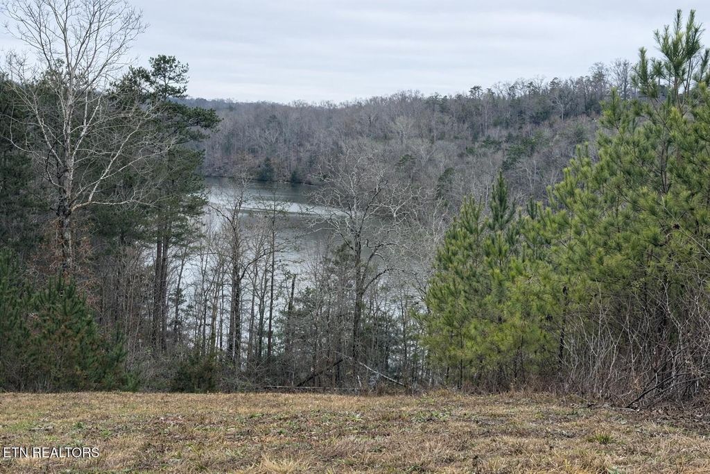 Photo of Saddleback Dr, Vonore, TN 37885 (MLS # 1326521)