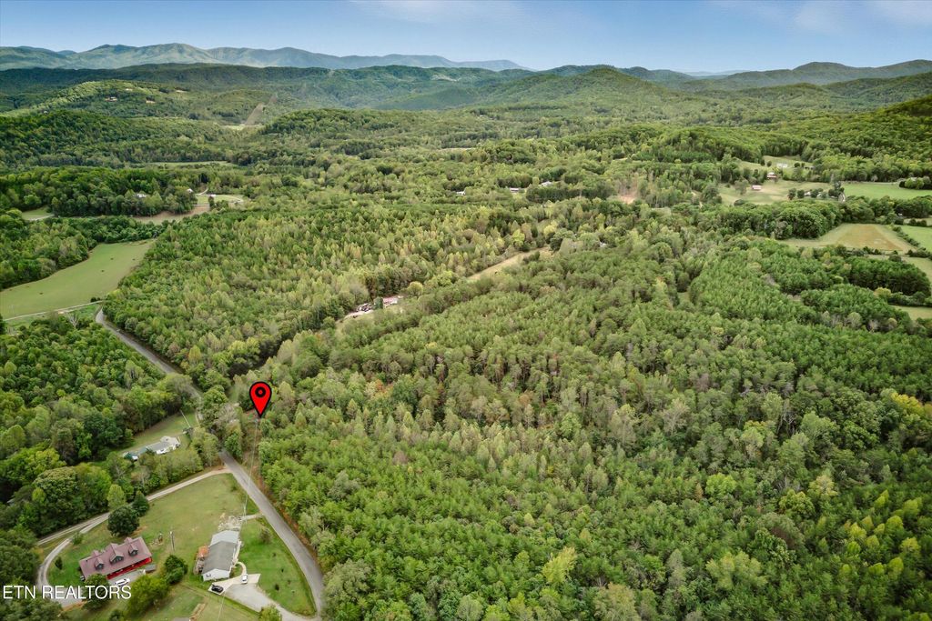 Photo of 173 Akins Rd, Tellico Plains, TN 37385 (MLS # 1330521)