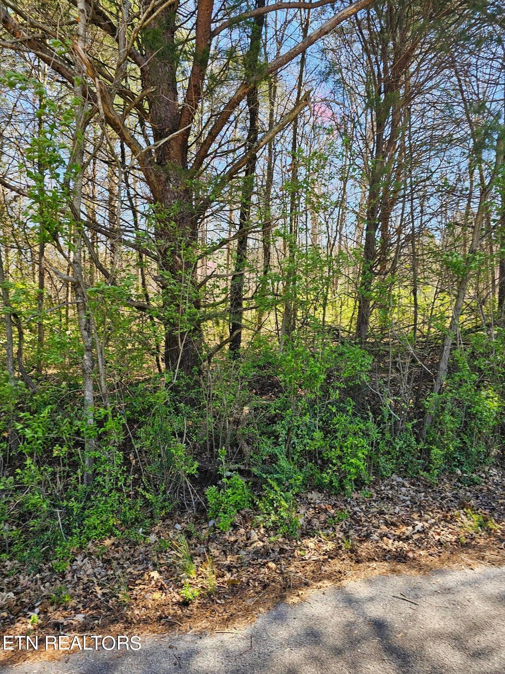 Photo of Channel Drive Drive, Louisville, TN 37777 (MLS # 1256452)