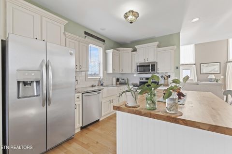 Tiny photo for 1120 Blazer Point, Dandridge, TN 37725 (MLS # 1317377)