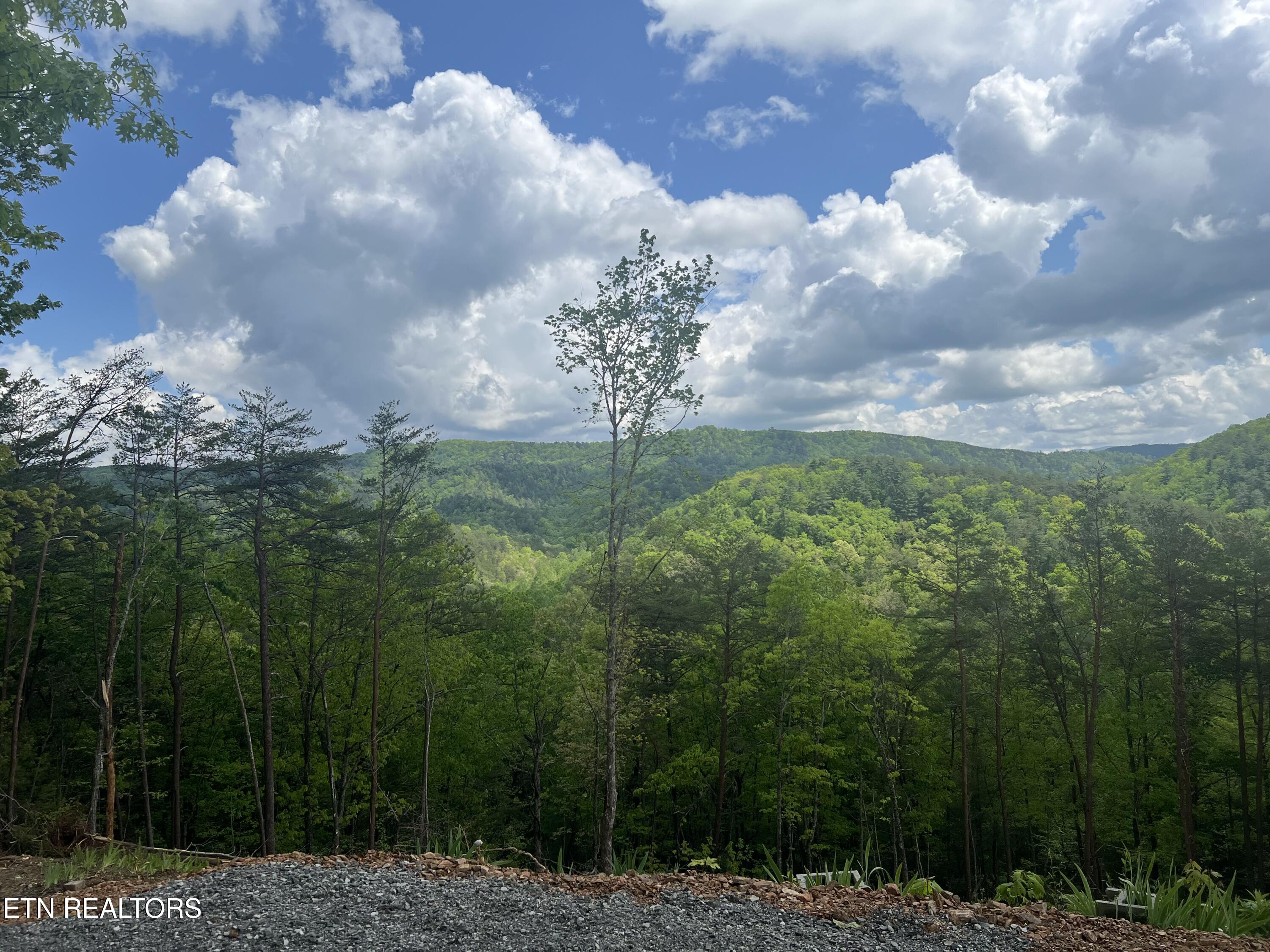 625 Cane Creek Mountain Rd