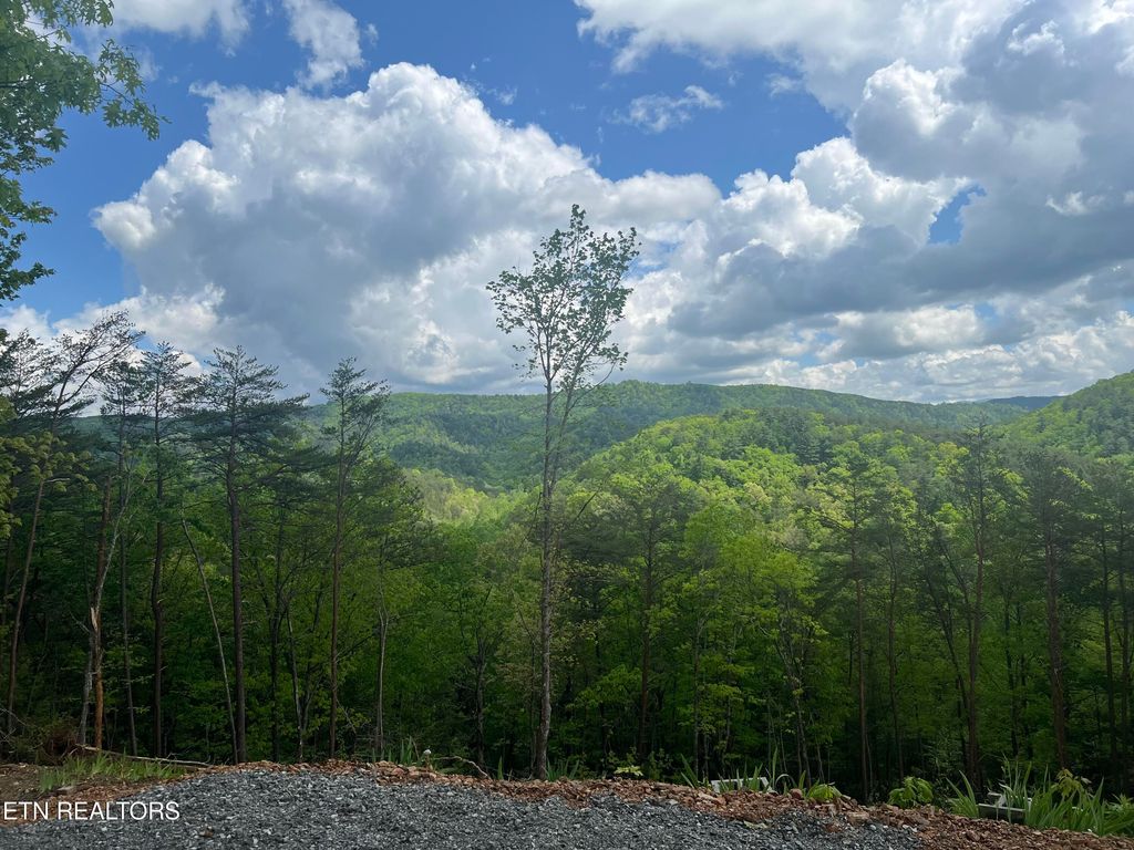 Photo of 625 Cane Creek Mountain Rd, Tellico Plains, TN 37385 (MLS # 1303239)