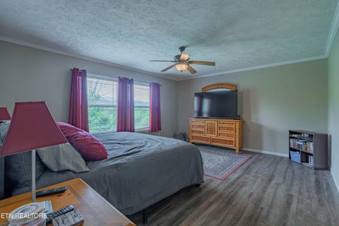 Tiny photo for 338 Old Clear Branch Lane, Rocky Top, TN 37769 (MLS # 1353163)
