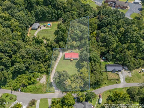 Tiny photo for 338 Old Clear Branch Lane, Rocky Top, TN 37769 (MLS # 1353163)