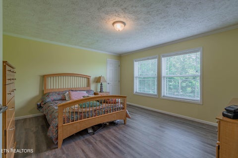 Tiny photo for 338 Old Clear Branch Lane, Rocky Top, TN 37769 (MLS # 1353163)