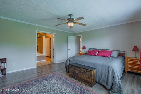 Tiny photo for 338 Old Clear Branch Lane, Rocky Top, TN 37769 (MLS # 1353163)