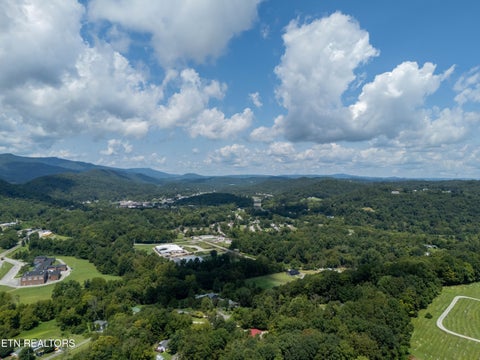 Tiny photo for 338 Old Clear Branch Lane, Rocky Top, TN 37769 (MLS # 1353163)
