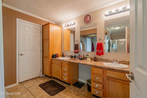 Tiny photo for 338 Old Clear Branch Lane, Rocky Top, TN 37769 (MLS # 1353163)