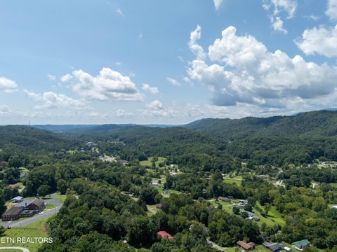 Tiny photo for 338 Old Clear Branch Lane, Rocky Top, TN 37769 (MLS # 1353163)