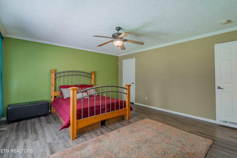 Tiny photo for 338 Old Clear Branch Lane, Rocky Top, TN 37769 (MLS # 1353163)