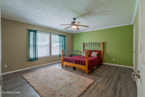 Tiny photo for 338 Old Clear Branch Lane, Rocky Top, TN 37769 (MLS # 1353163)