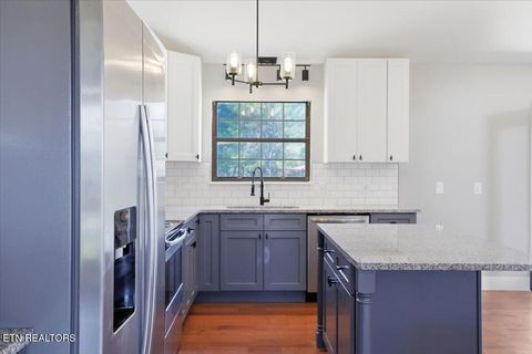 Tiny photo for 3514 E Atherton Lane, Baneberry, TN 37890 (MLS # 1343533)