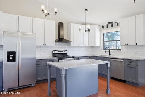 Tiny photo for 3514 E Atherton Lane, Baneberry, TN 37890 (MLS # 1343533)
