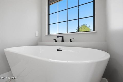 Tiny photo for 3514 E Atherton Lane, Baneberry, TN 37890 (MLS # 1343533)