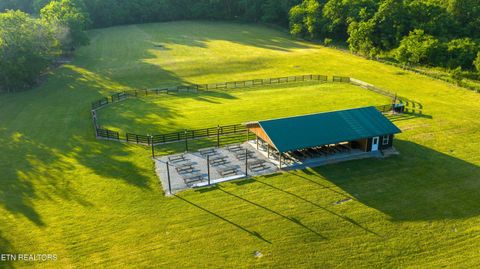 Tiny photo for 979 Wilson Cemetery Rd, Pikeville, TN 37367 (MLS # 1343710)
