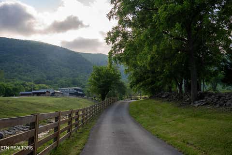 Tiny photo for 979 Wilson Cemetery Rd, Pikeville, TN 37367 (MLS # 1343710)