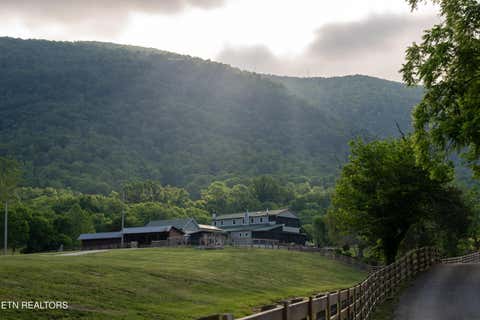 Tiny photo for 979 Wilson Cemetery Rd, Pikeville, TN 37367 (MLS # 1343710)