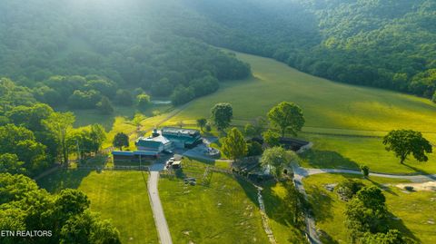 Tiny photo for 979 Wilson Cemetery Rd, Pikeville, TN 37367 (MLS # 1343710)