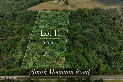 Photo of 11 Smith Mountain Rd, Rockwood, TN 37854 (MLS # 1353033)
