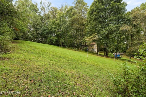 Tiny photo for 134 McKinney Rd, Harriman, TN 37748 (MLS # 1355794)