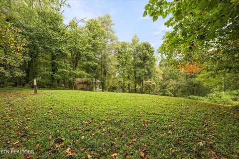 Tiny photo for 134 McKinney Rd, Harriman, TN 37748 (MLS # 1355794)
